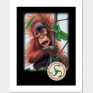 Baby Orangutan Posters and Art